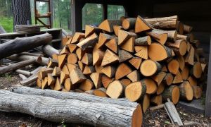Купить дрова и не пожалеть: практическое руководство для тех, кто ценит тепло