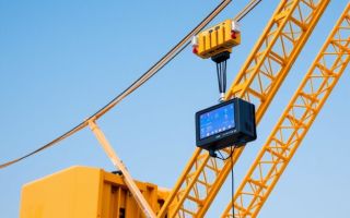 Cuando la inteligencia se eleva: Sistemas de control computerizado en grúas modernas (LICS, LMI)